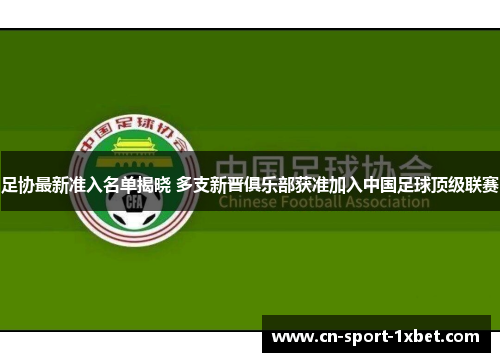 足协最新准入名单揭晓 多支新晋俱乐部获准加入中国足球顶级联赛 足协最新准入名单揭晓 多支新晋俱乐部获准加入中国足球顶级联赛